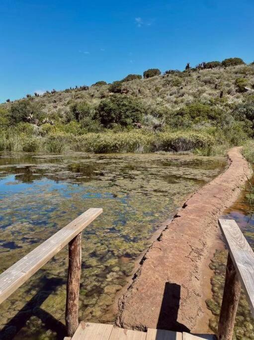Heron Cottage - Living The Breede Malgas Экстерьер фото